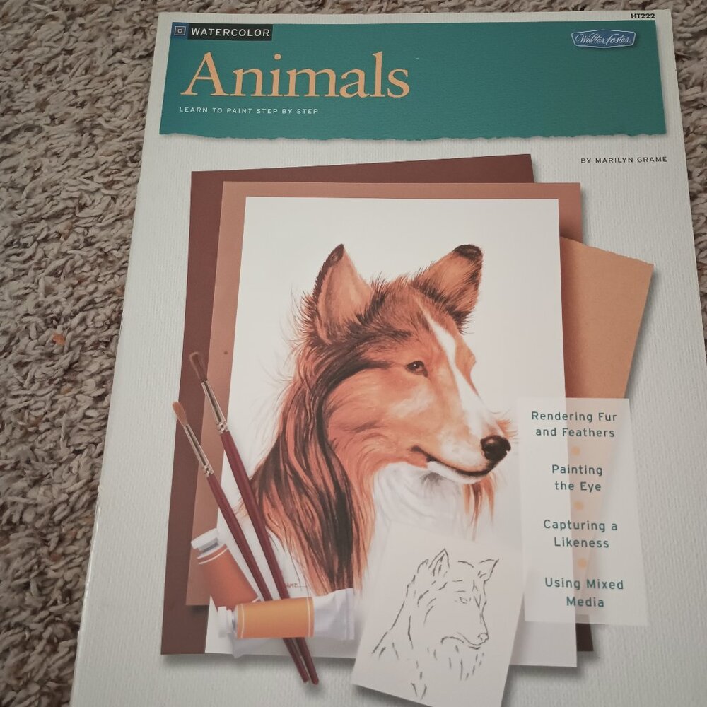 Paint watercolour animals book - Walter Foster